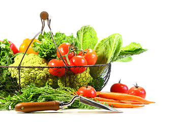 Image showing Summer vegetables with garden shovel