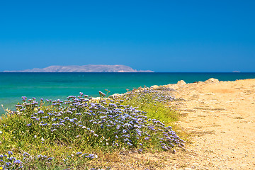 Image showing Wildflowers on a background seascape