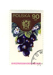 Image showing polish stamp