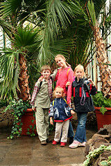 Image showing Trip to the conservatory