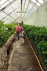 Image showing Trip to the conservatory