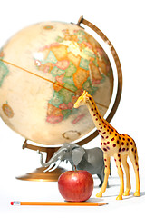 Image showing Globe with toys animals on white