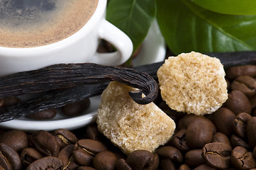 Image showing aroma coffee with vanilla and coffee branch