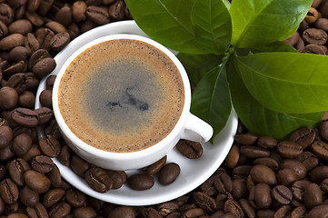 Image showing fresh coffee with coffee branch