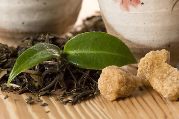 Image showing green tea with fresh branch