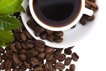 Image showing fresh coffee with coffee branch
