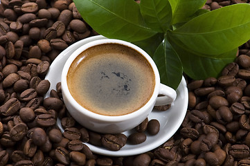 Image showing fresh coffee with coffee branch
