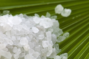 Image showing bath salt and palm leaf