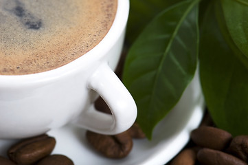 Image showing fresh coffee with coffee branch