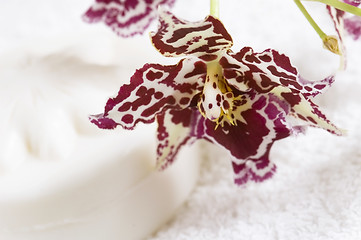 Image showing Spa items with white towels, natural soap and orchid