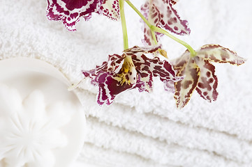 Image showing Spa items with white towels, natural soap and orchid