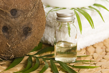 Image showing Coconut oil for alternative therapy