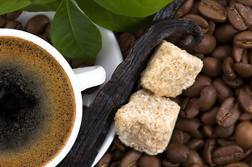 Image showing aroma coffee with vanilla and coffee branch