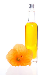 Image showing bath oil with hibiscus