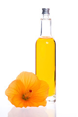 Image showing bath oil with hibiscus