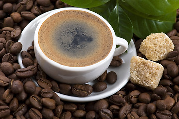 Image showing fresh coffee with coffee branch