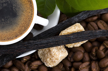 Image showing aroma coffee with vanilla and coffee branch