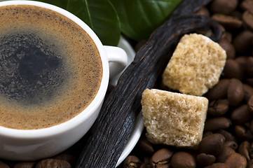 Image showing aroma coffee with vanilla and coffee branch