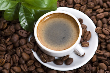 Image showing fresh coffee with coffee branch