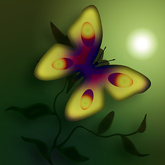 Image showing Misty Butterfly