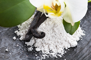 Image showing vanilla beans with aromatic sugar and flower