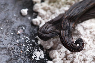 Image showing vanilla beans with aromatic sugar