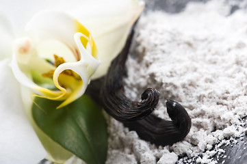 Image showing vanilla beans with aromatic sugar and flower