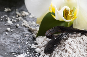 Image showing vanilla beans with aromatic sugar and flower