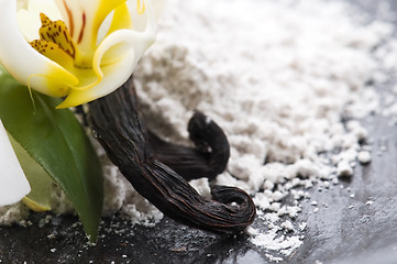 Image showing vanilla beans with aromatic sugar and flower