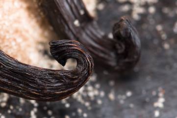Image showing vanilla beans with brown sugar