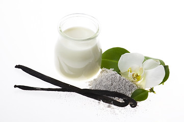 Image showing vanilla beans with aromatic sugar, milk and flower