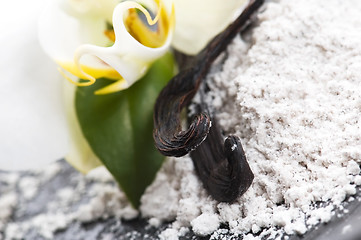 Image showing vanilla beans with aromatic sugar and flower