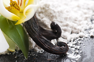 Image showing vanilla beans with aromatic sugar and flower