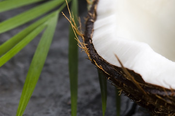 Image showing coconut and palm leaf. exotic scene