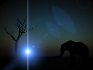 Image showing Elephant Sunrise