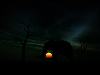 Image showing Elephant Sunrise