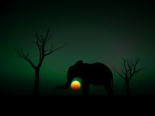 Image showing Elephant Sunrise 