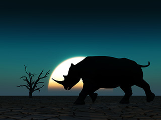 Image showing Rhino Wildlife