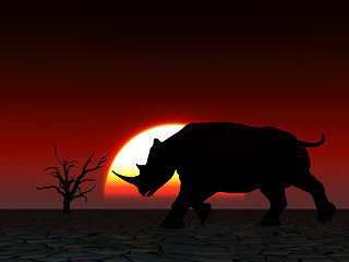 Image showing Rhino Wildlife