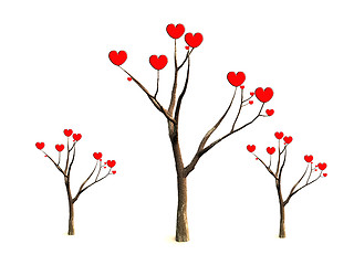 Image showing The Love Tree 