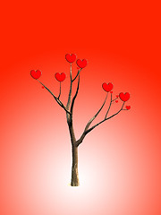 Image showing The Love Tree