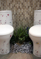 Image showing Toilets
