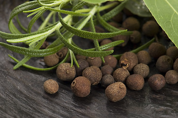 Image showing allspice with fresh rosemary