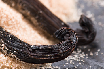 Image showing vanilla beans with brown sugar