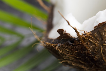 Image showing coconut and palm leaf. exotic scene