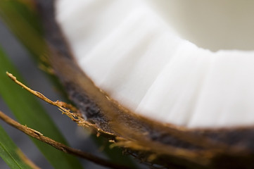 Image showing coconut and palm leaf. exotic scene