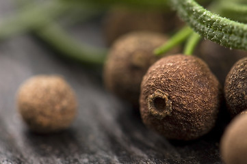 Image showing allspice with fresh rosemary