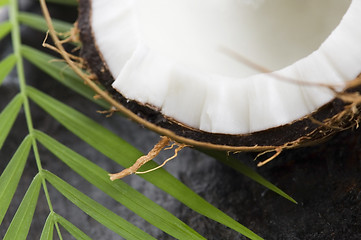 Image showing coconut and palm leaf. exotic scene