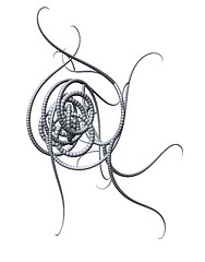 Image showing tentacles
