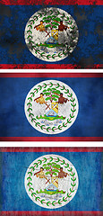 Image showing Flag of Belize